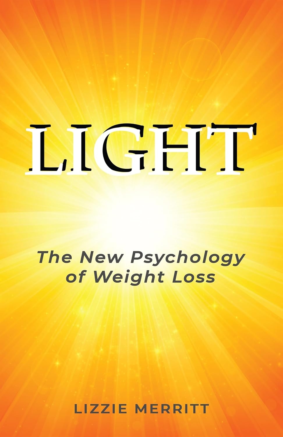 Lizzie Merritt Light Book Cover