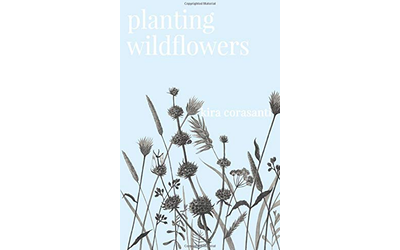 Planting Wildflowers