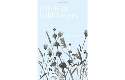 Planting Wildflowers