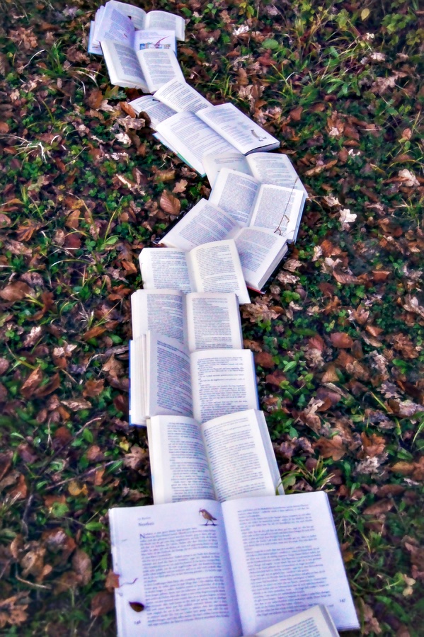 Scriptor Reading Outside books