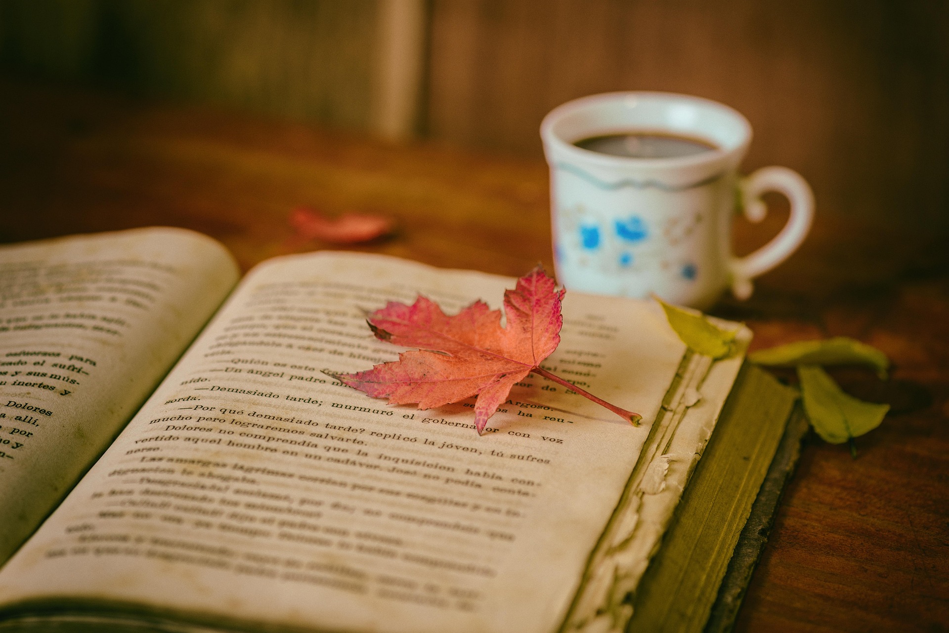 Why Everyone Has a Story Worth Telling